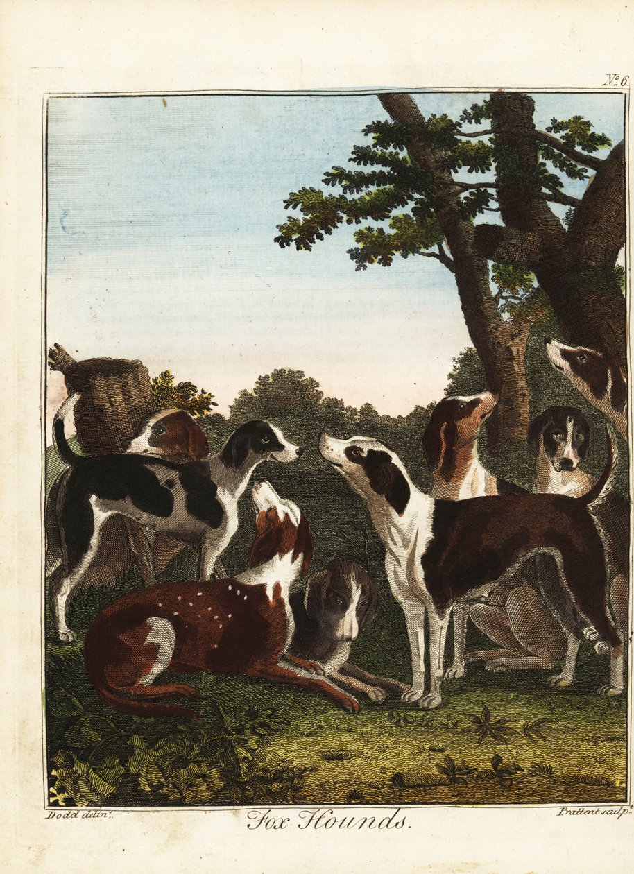 Bir avdan önce bir tilki tazı sürüsü by Daniel (after) Dodd