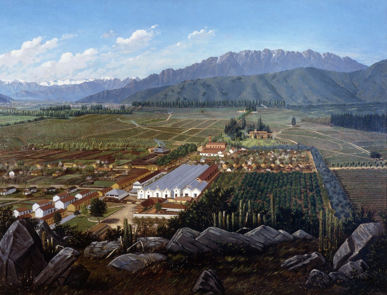 Errazuriz-Panquehue Bağı, Şili, 1896 by Daniel Escobar