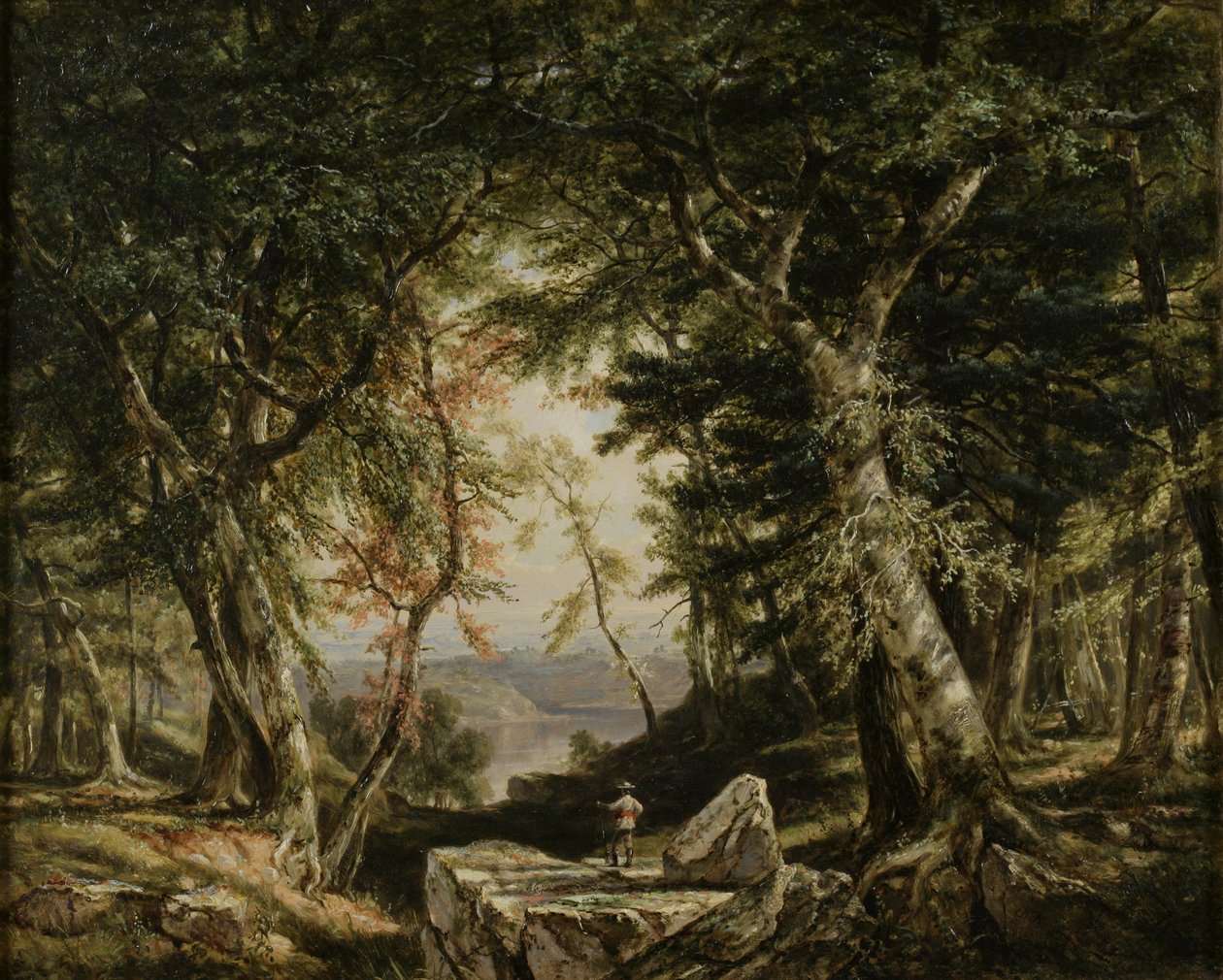 Ormandan Bakışlar, 1856 by Daniel Huntington