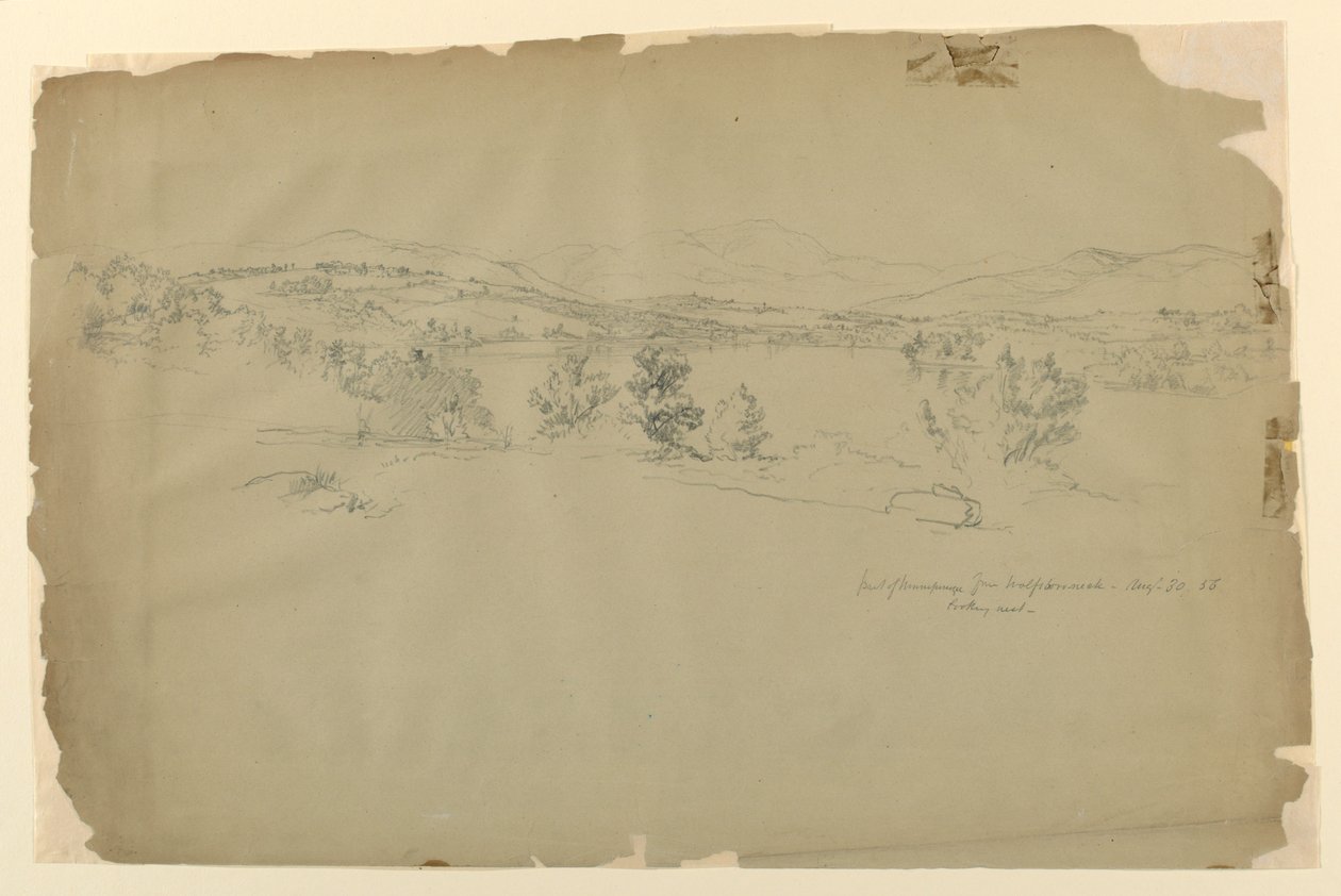Wolfeboro Neck