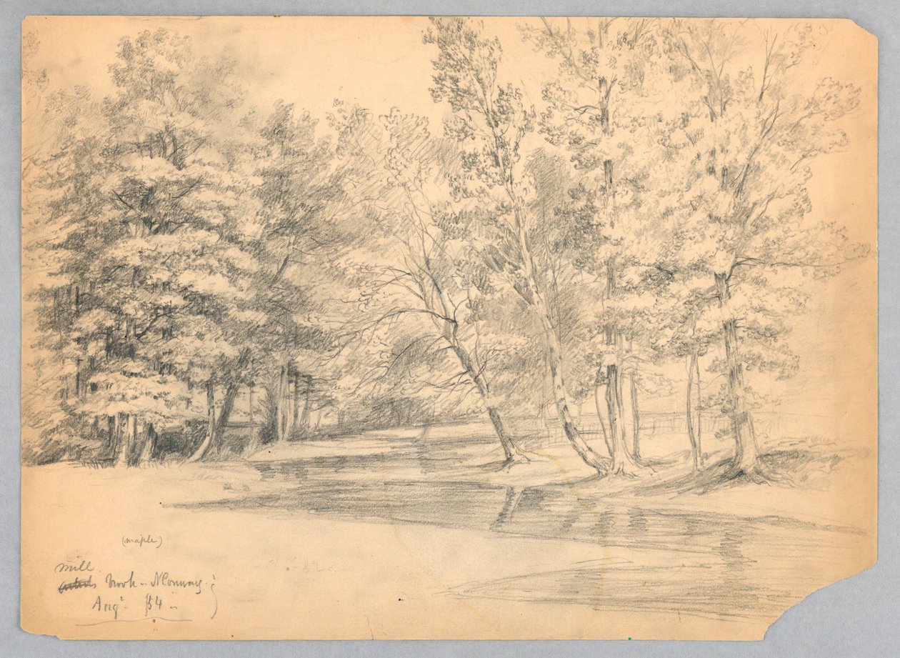 Değirmen Brook, Kuzey Conway, New Hampshire by Daniel Huntington