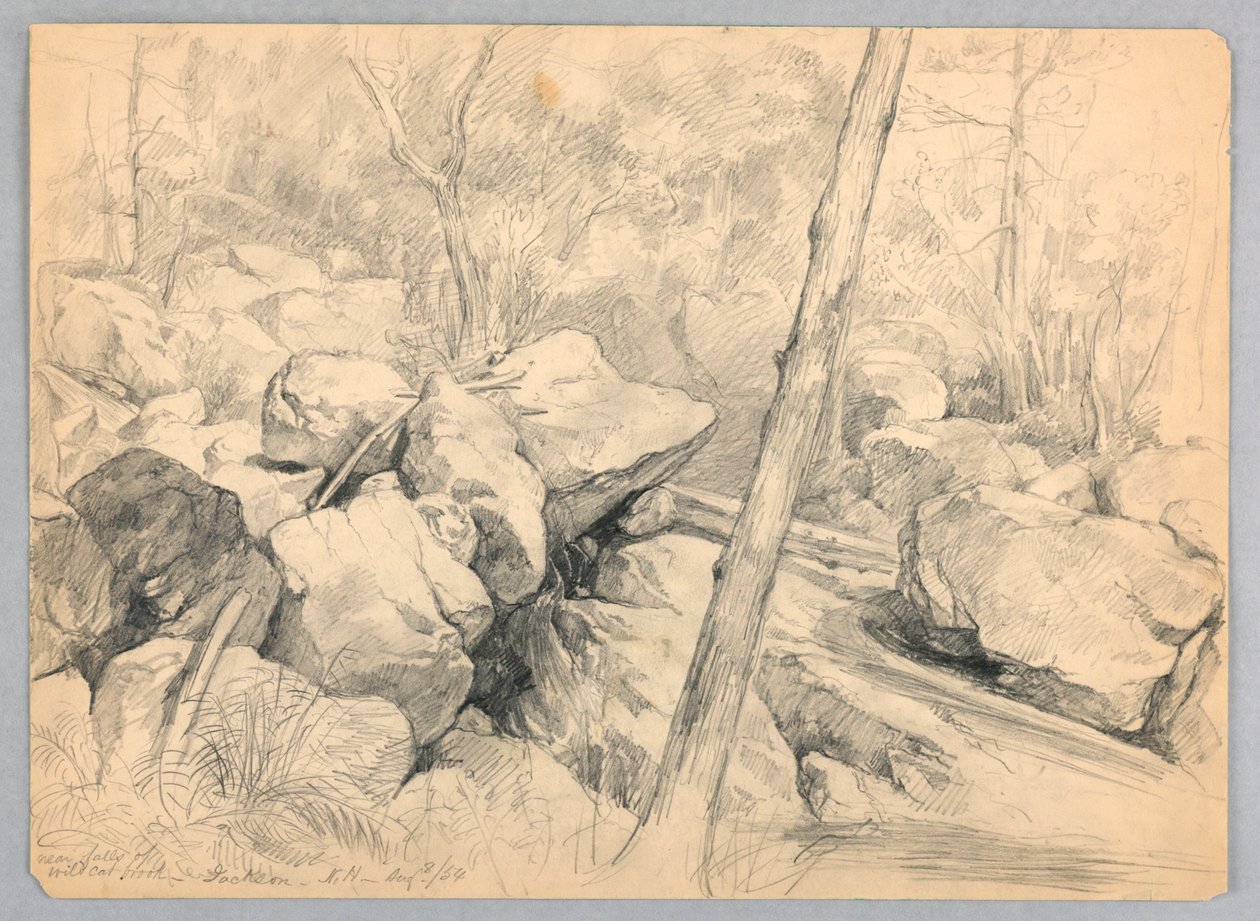 Wildcat Brook Şelaleleri Yakını, Jackson, New Hampshire by Daniel Huntington