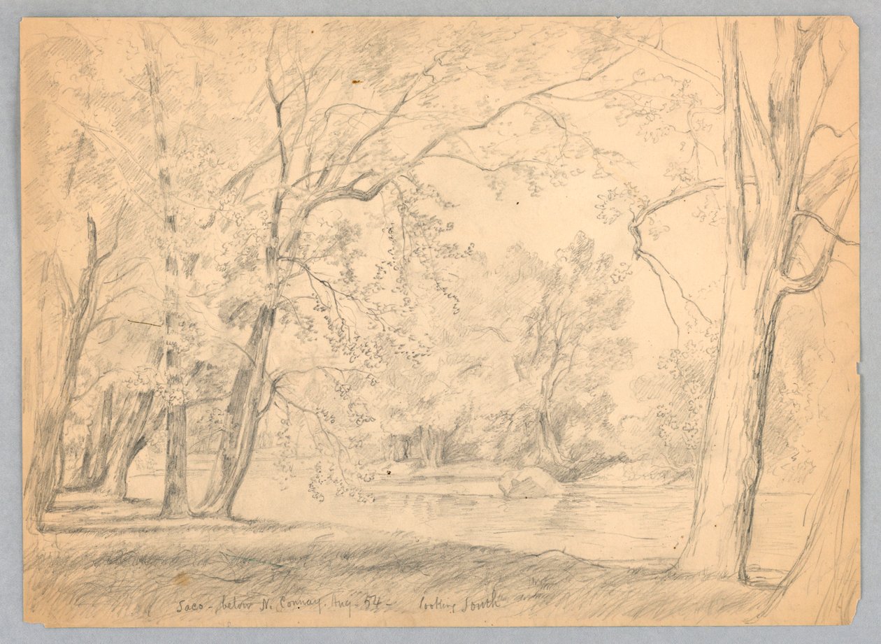 Saco Nehri, Kuzey Conway, New Hampshire by Daniel Huntington