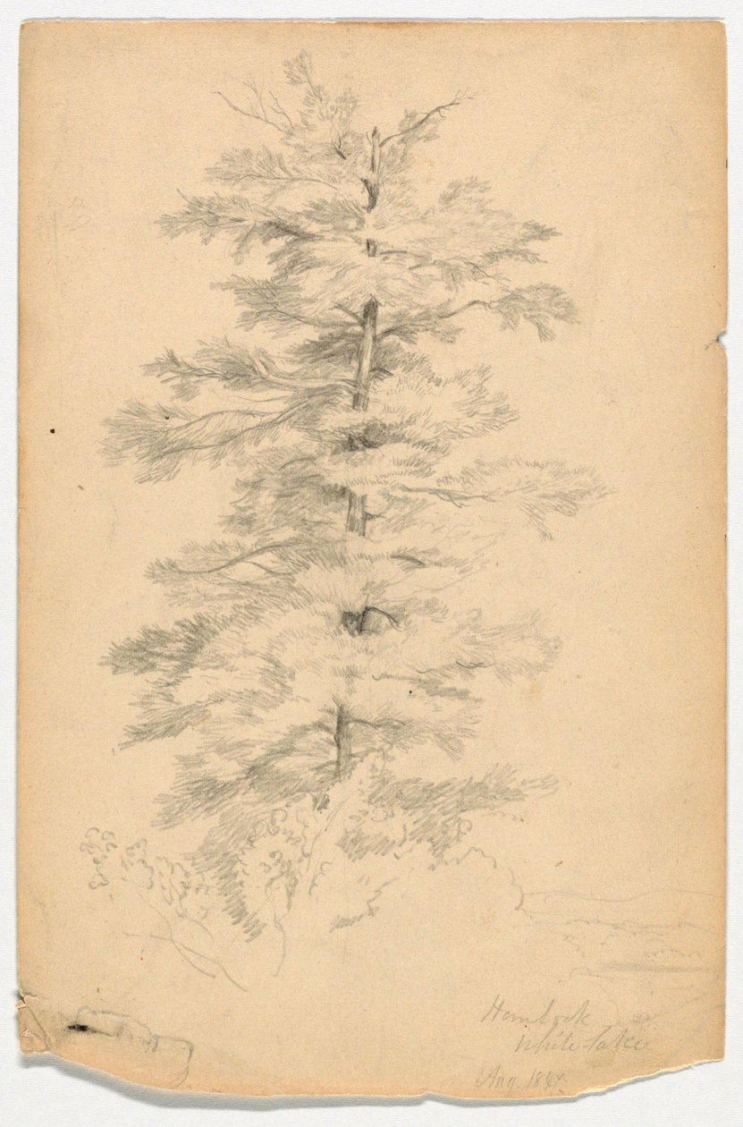 White Lake yakınlarındaki Hemlock Çalışması by Daniel Huntington