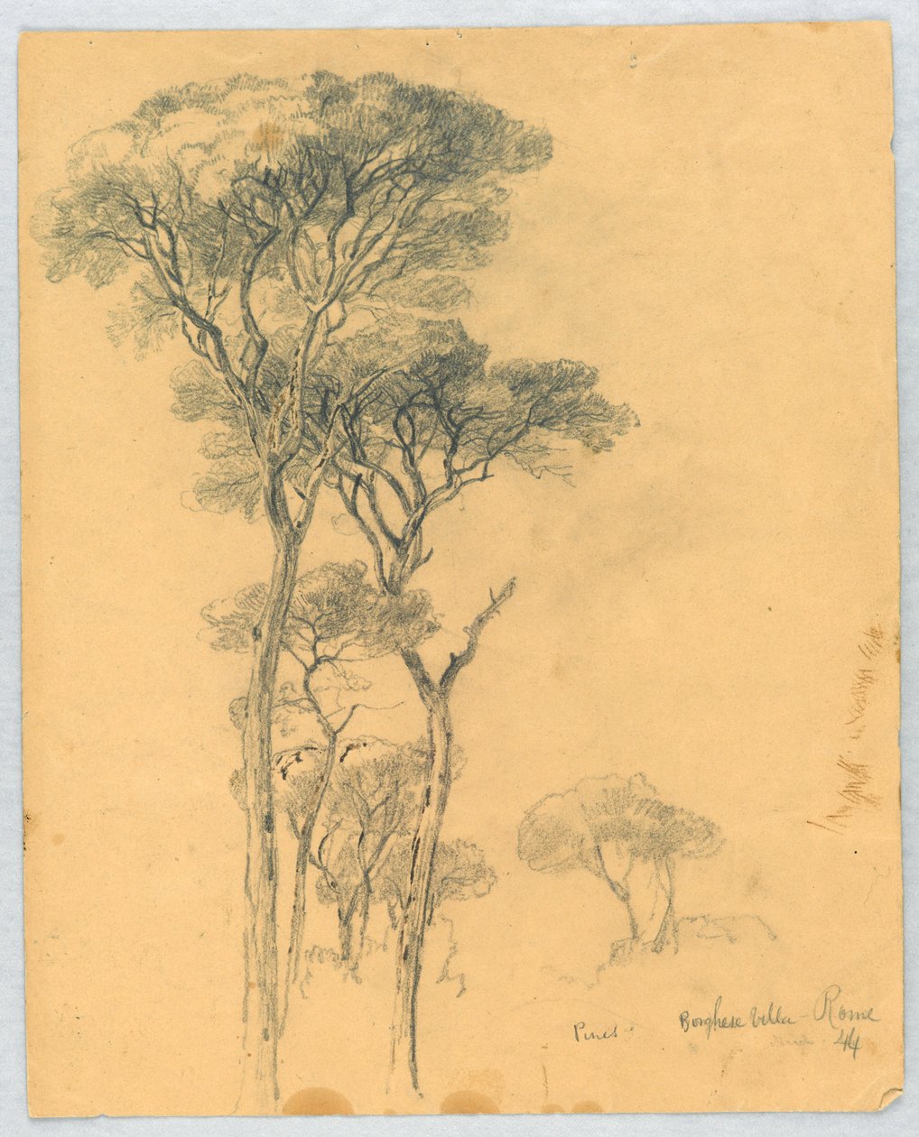 Pines Çalışması, Borghese Villa, Roma by Daniel Huntington
