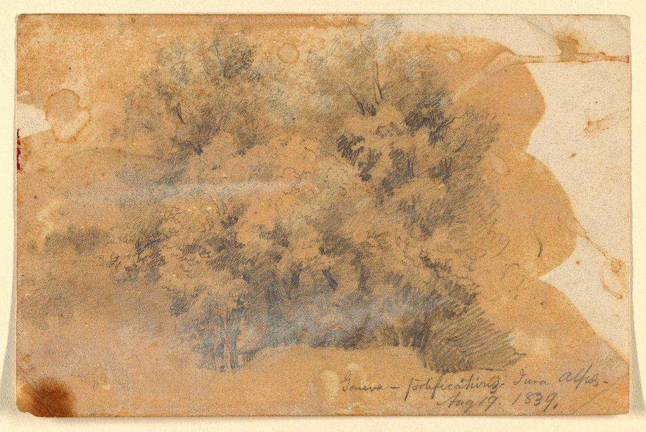 Ağaçların İncelenmesi, Cenevre by Daniel Huntington