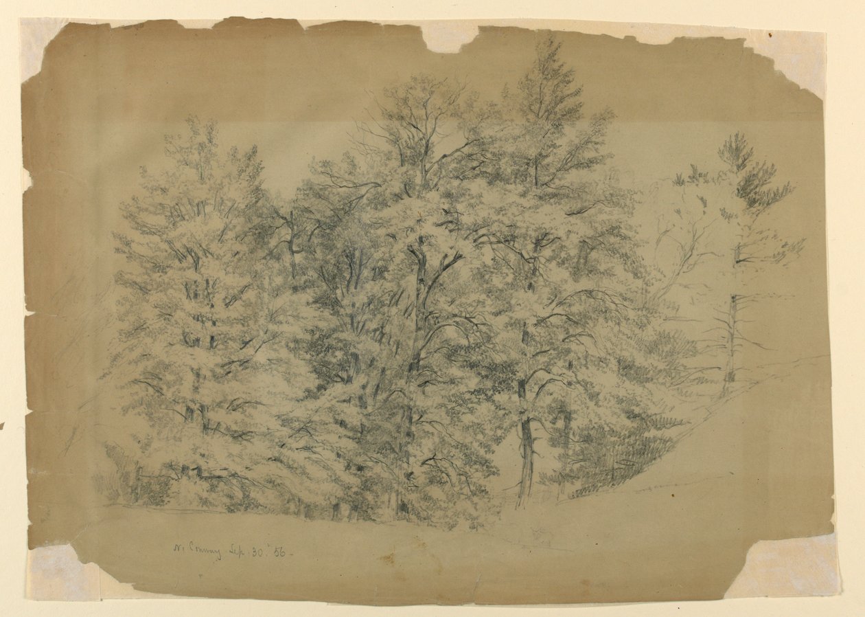 Ağaçların İncelenmesi, North Conway, New Hampshire by Daniel Huntington