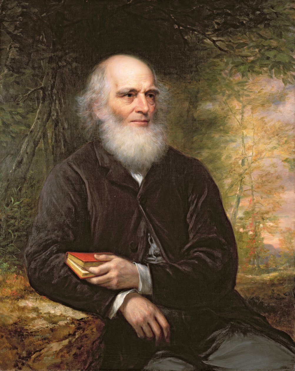 William Cullen Bryant (1794-1878) 1866 (tuval üzerine yağlı boya) by Daniel Huntington