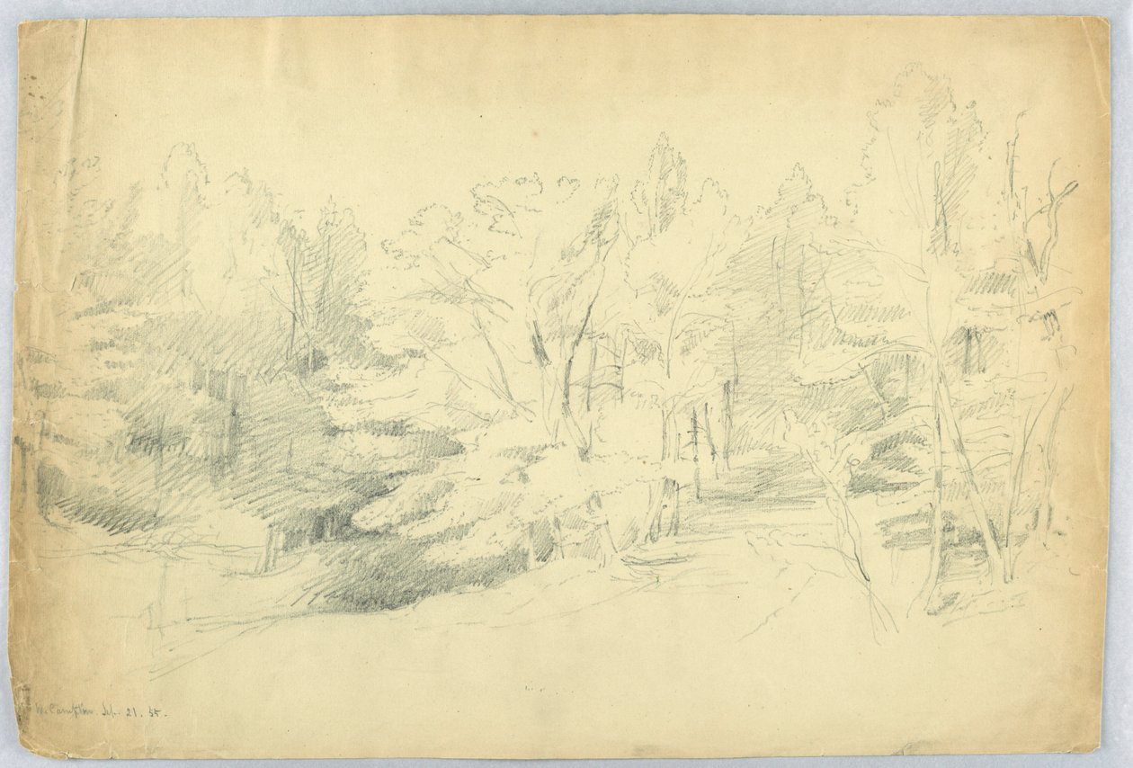 Ormanlık Sahne - West Campton, New Hampshire by Daniel Huntington
