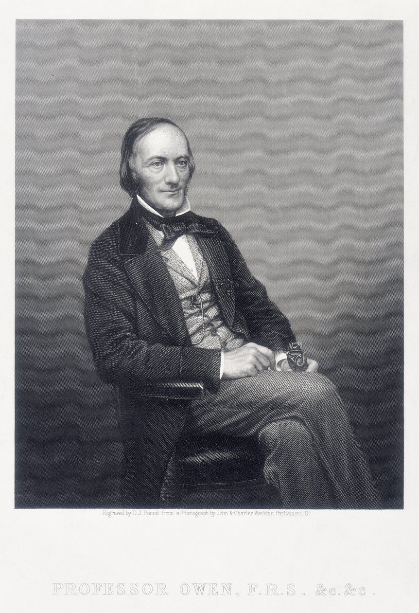 Sir Richard Owen, İngiliz zoolog, c1860. by Daniel John Pound