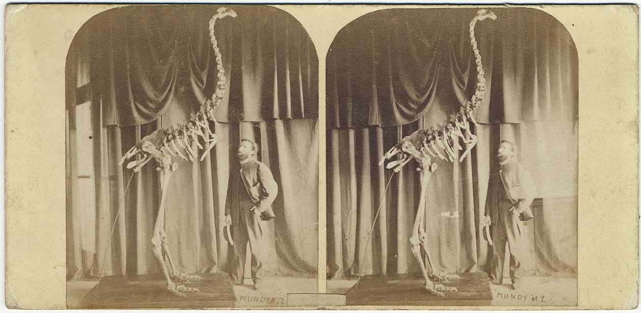 Julius von Haast ve Moa, Canterbury Müzesi, 1867 dolayları (albüm baskısı) by Daniel Louis Mundy