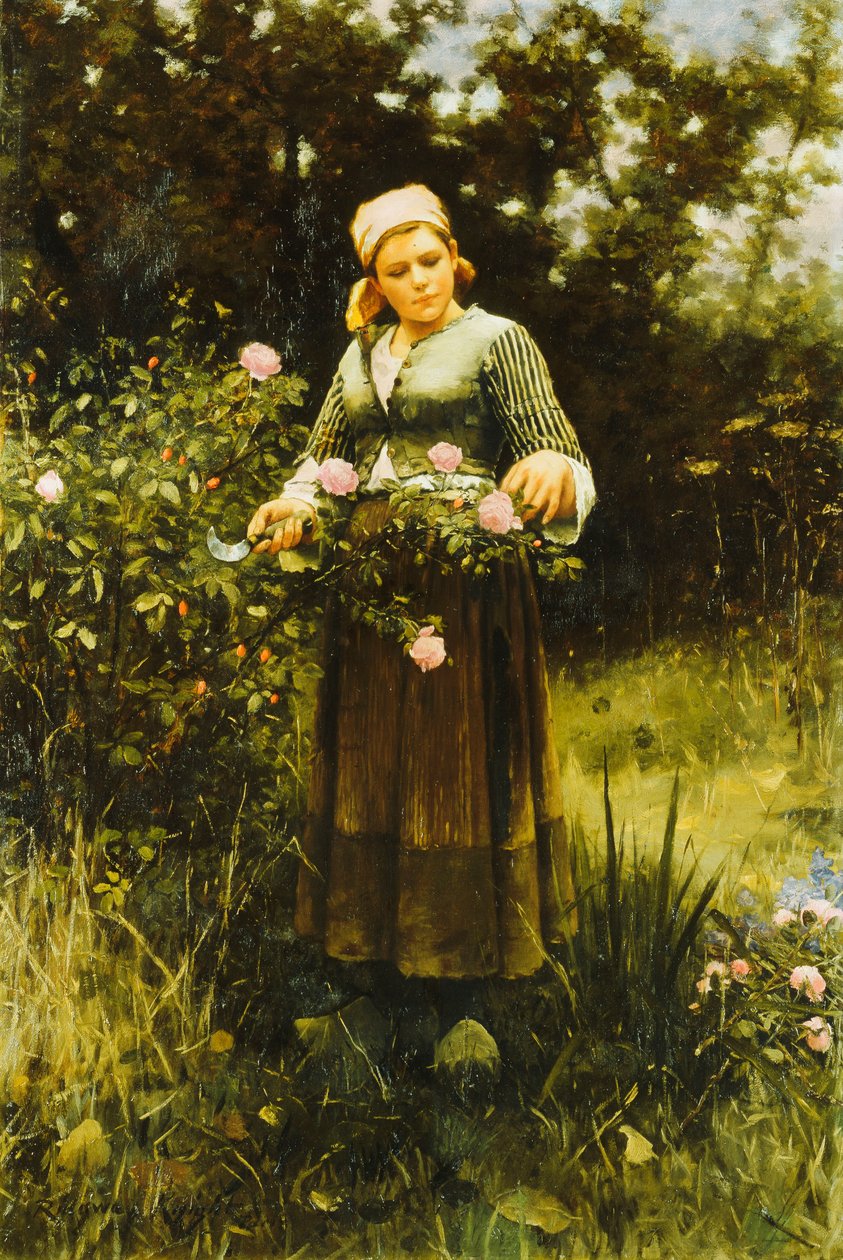 Gül toplamak, by Daniel Ridgway Knight