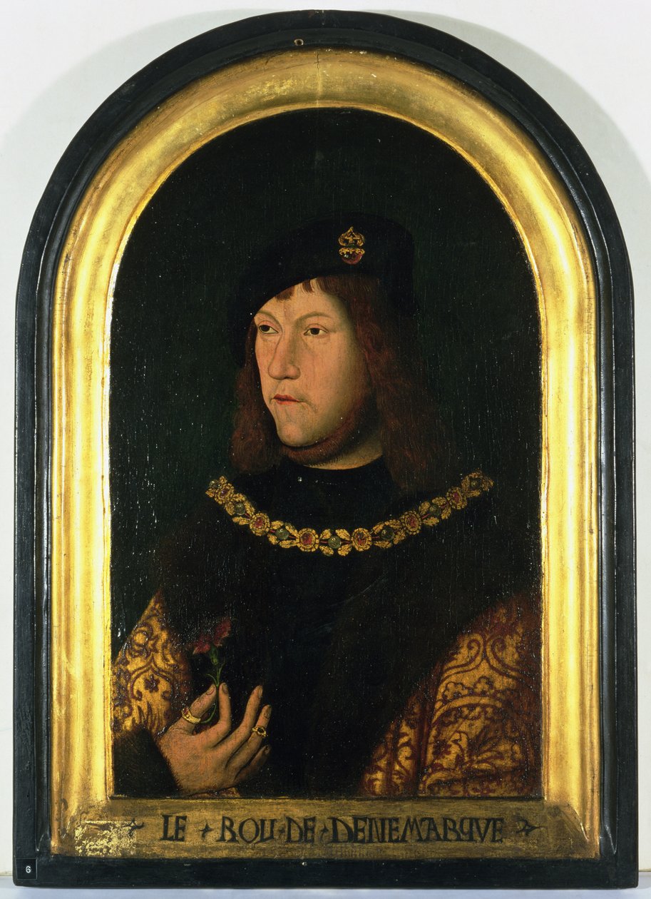 Frederick I (1471-1533) Danimarka Kralı, c.1520 (panelde yağlı boya) by Danish School