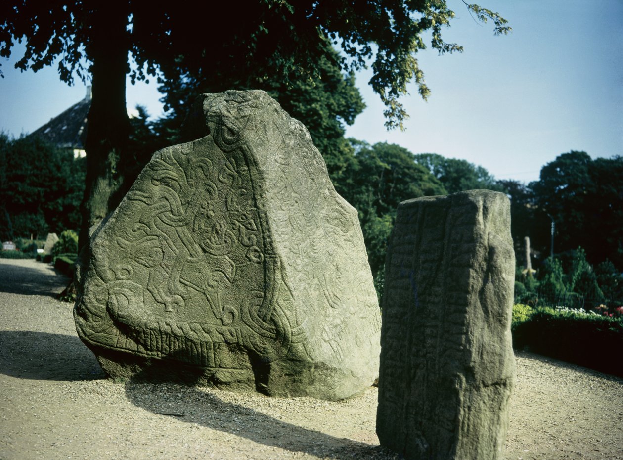 Viking rune taşları by Danish School