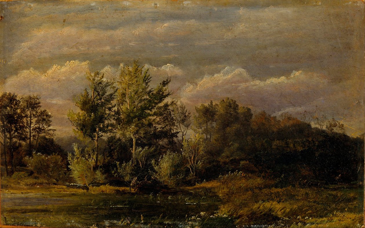 Huş ağaçlarıyla çevrili bir orman gölü. Çalışmak. by Dankvart Dreyer