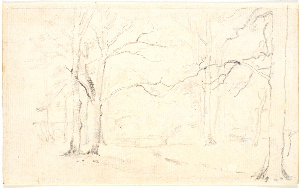 Skovinteriør by Dankvart Dreyer
