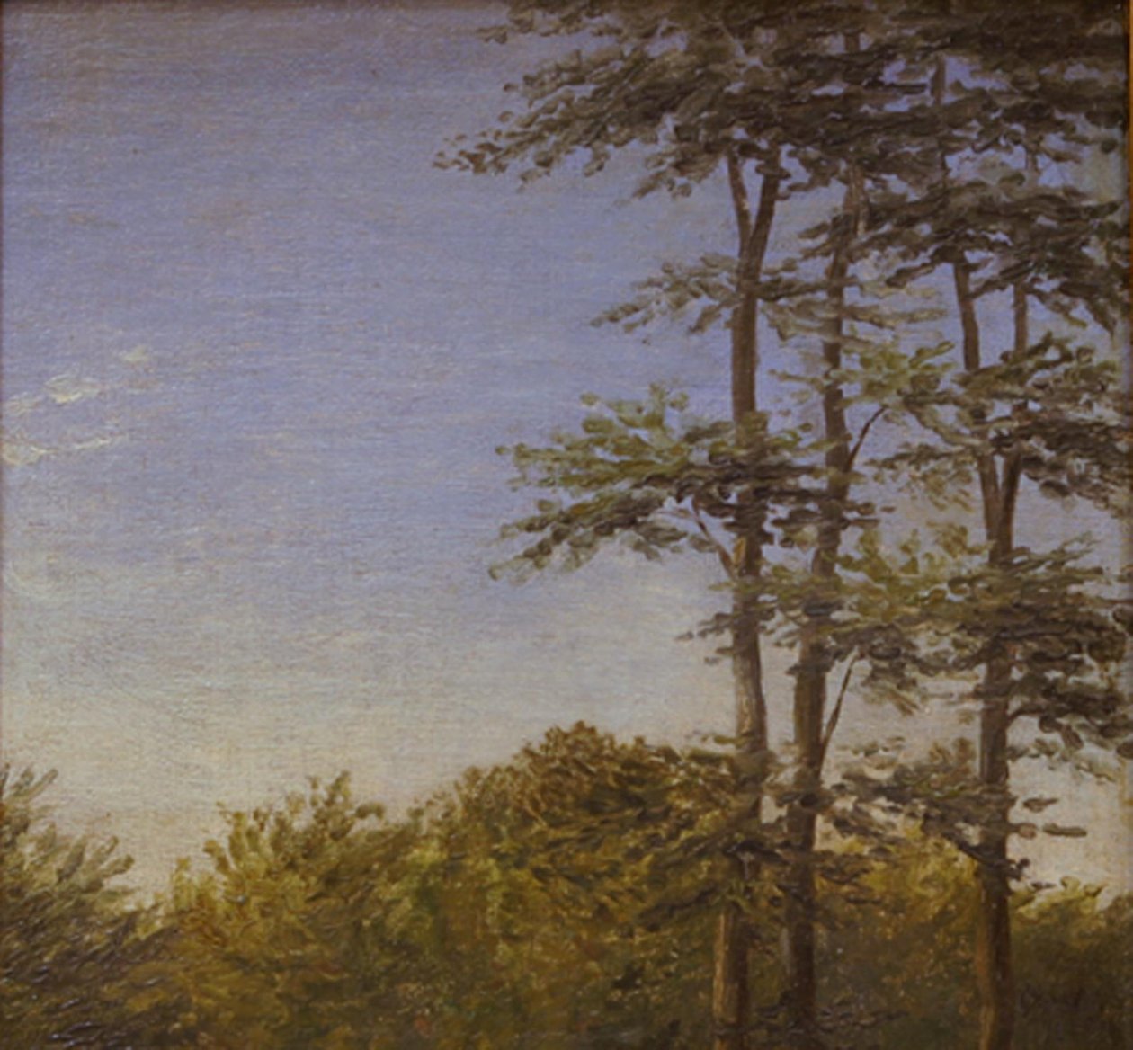 Çalılıklar ve Uzun Ağaçlar Çalışması, Funen by Dankvart Dreyer