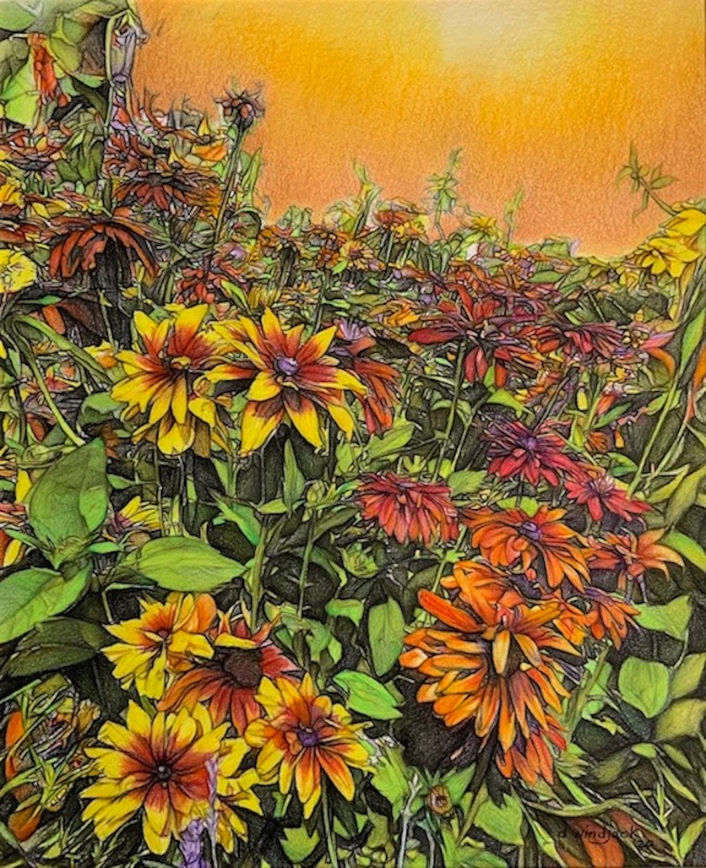  by Darrell Windjack