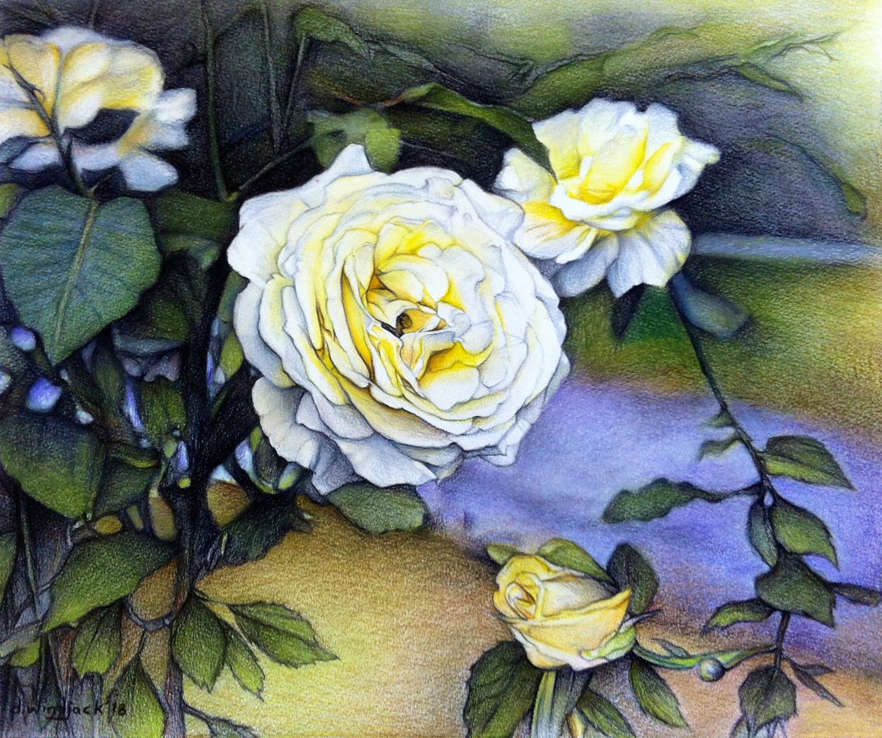  by Darrell Windjack