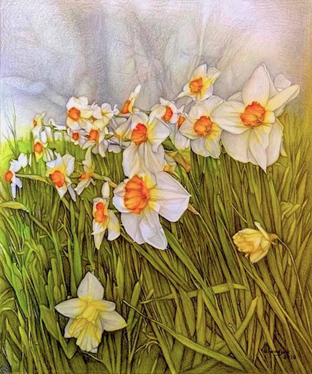  by Darrell Windjack