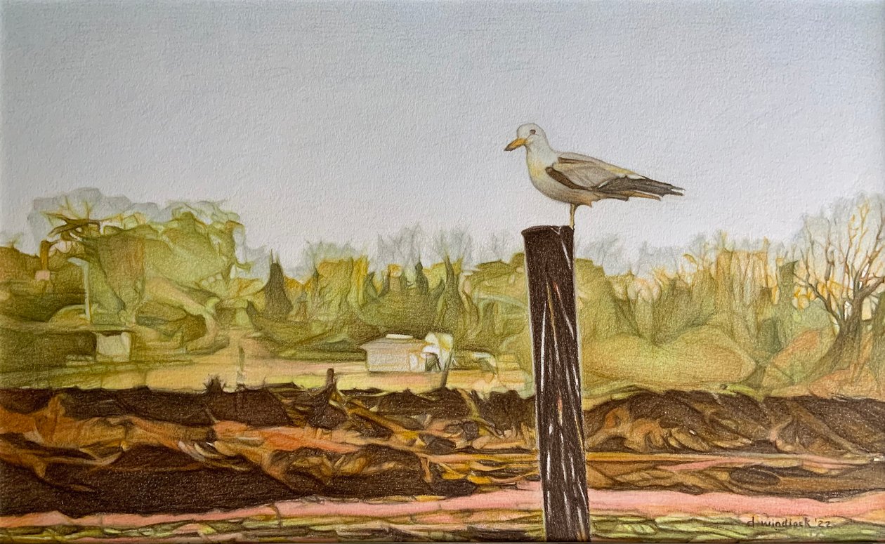  by Darrell Windjack