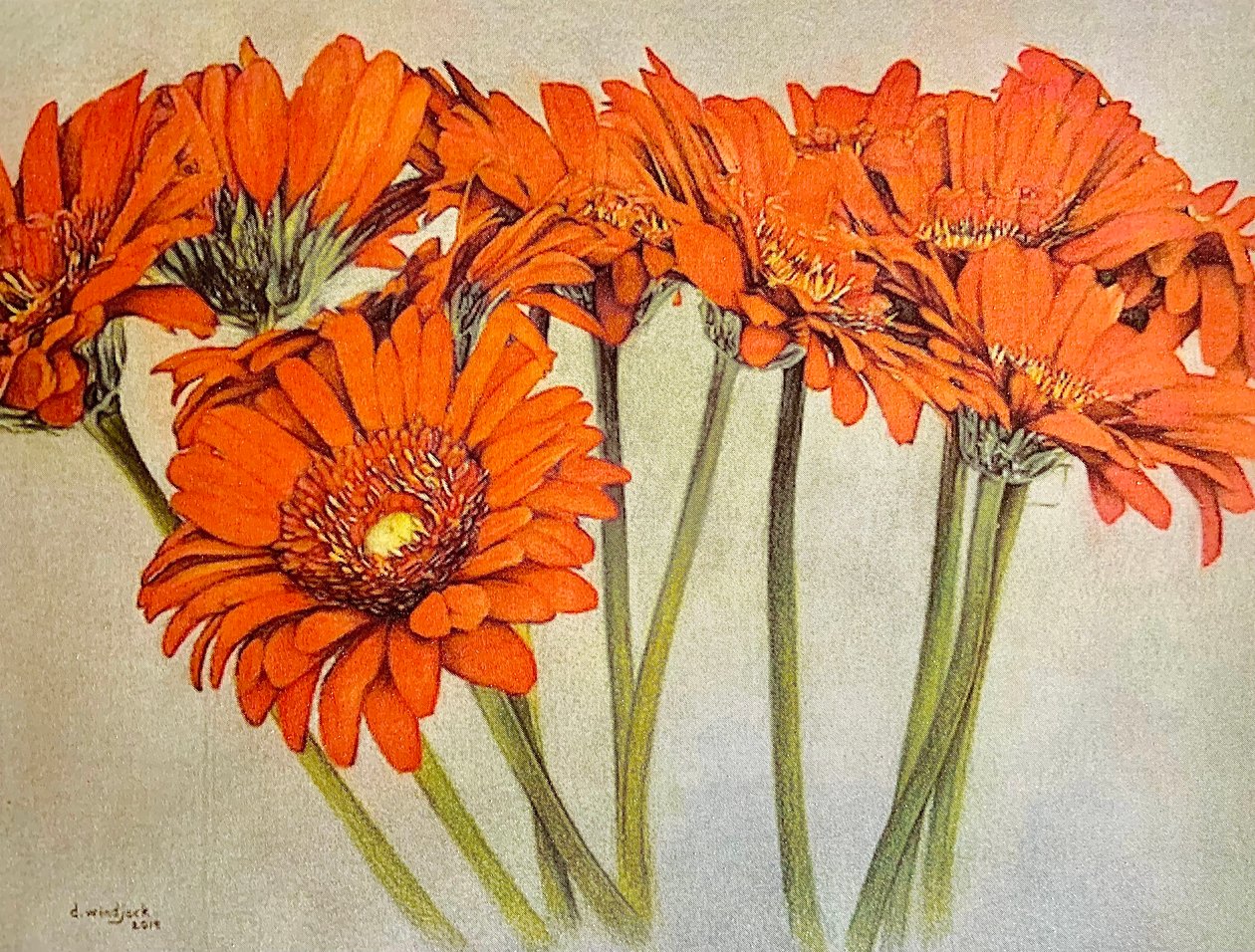  by Darrell Windjack