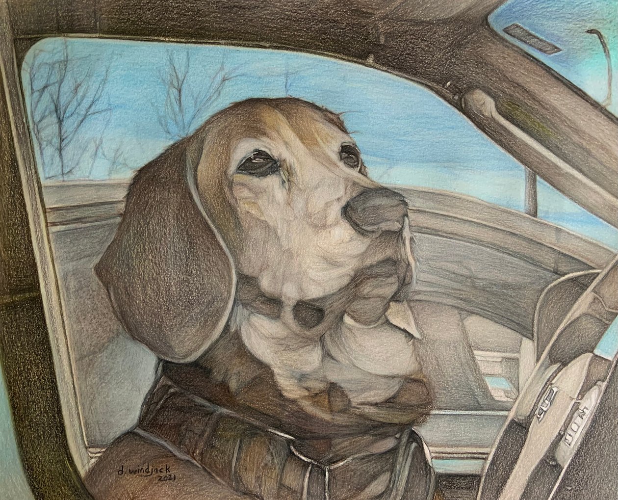  by Darrell Windjack
