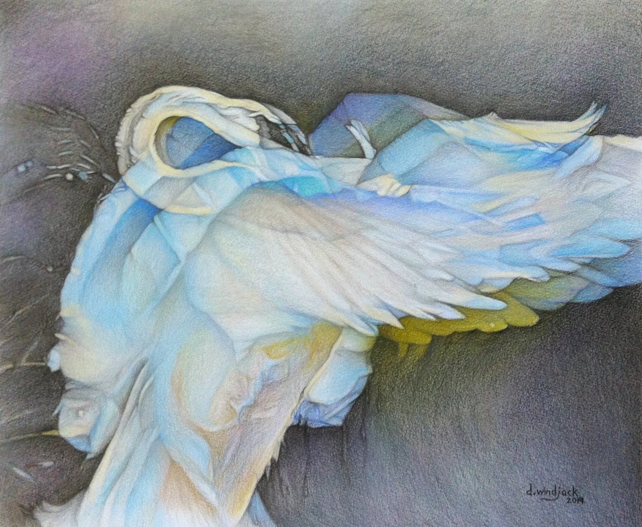  by Darrell Windjack