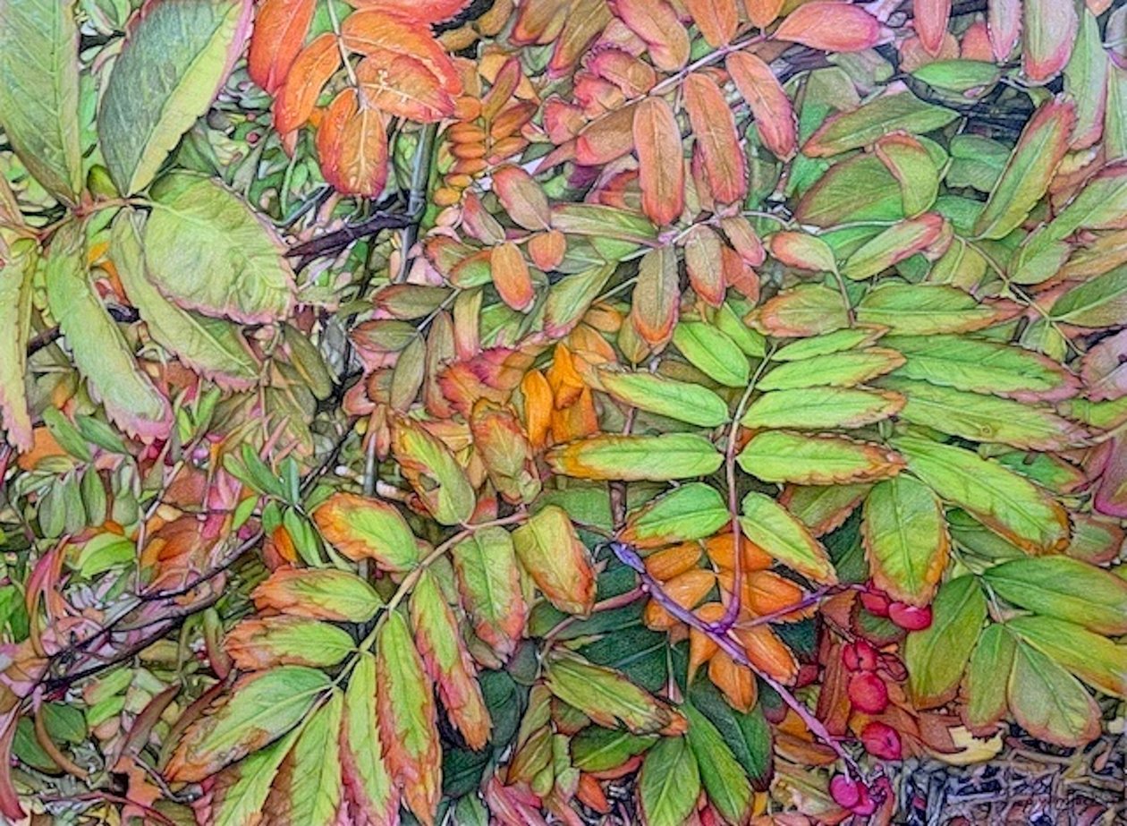  by Darrell Windjack