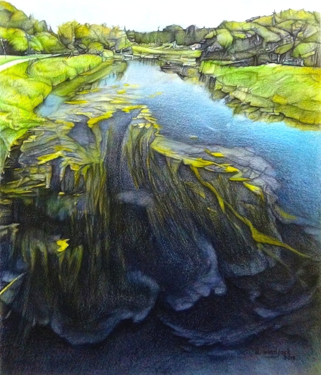  by Darrell Windjack