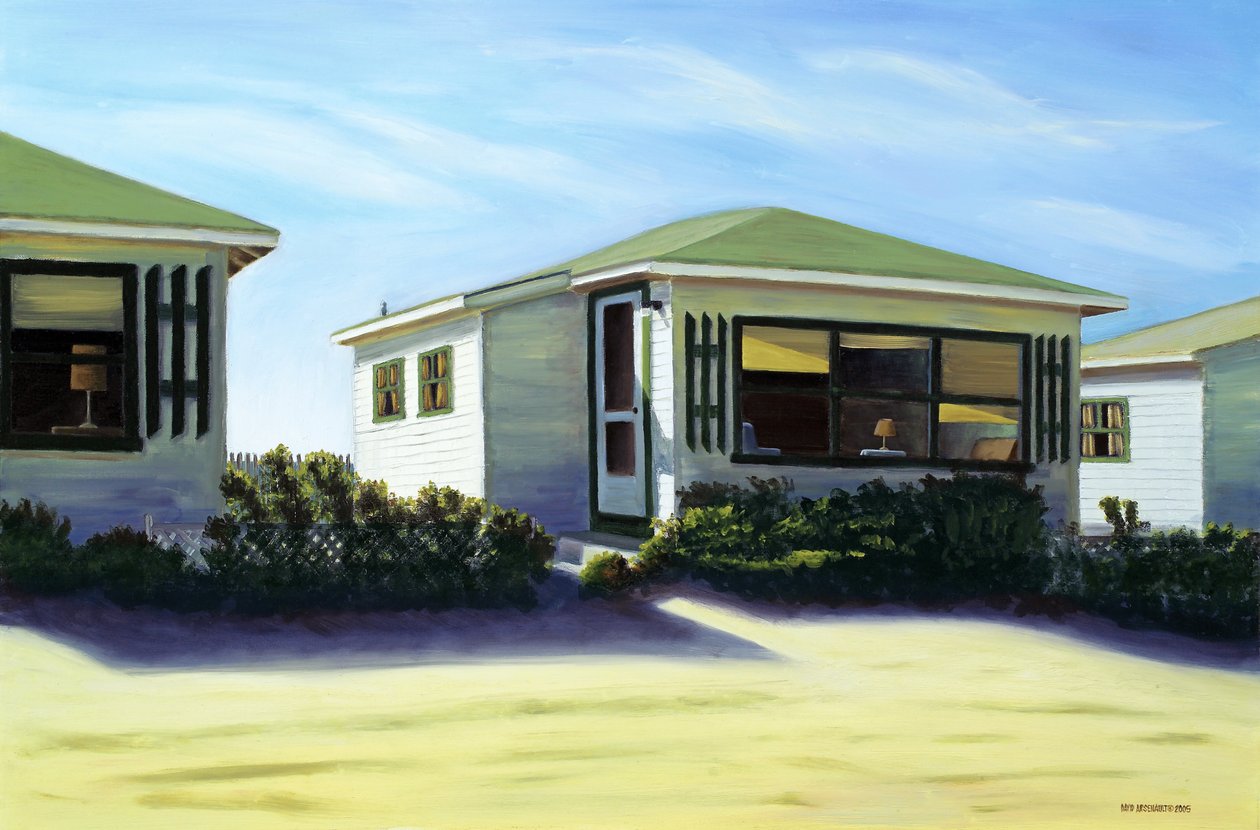 ಜಸ್ಟ್ ಎ ಗ್ಲಿಂಪ್ಸ್, 2005 ಟರ್ಕ್ by David Arsenault