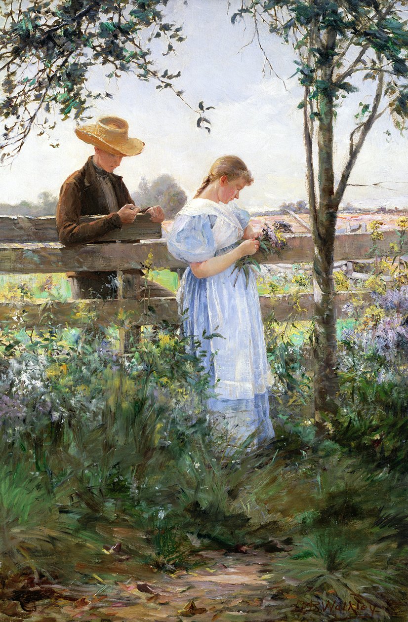 Bir Ülke Romantizmi by David B. Walkley