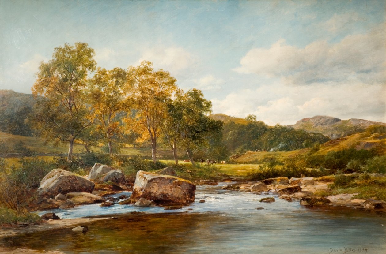 Llugwy Nehri üzerindeki Basamak Taşları, 1889 by David Bates