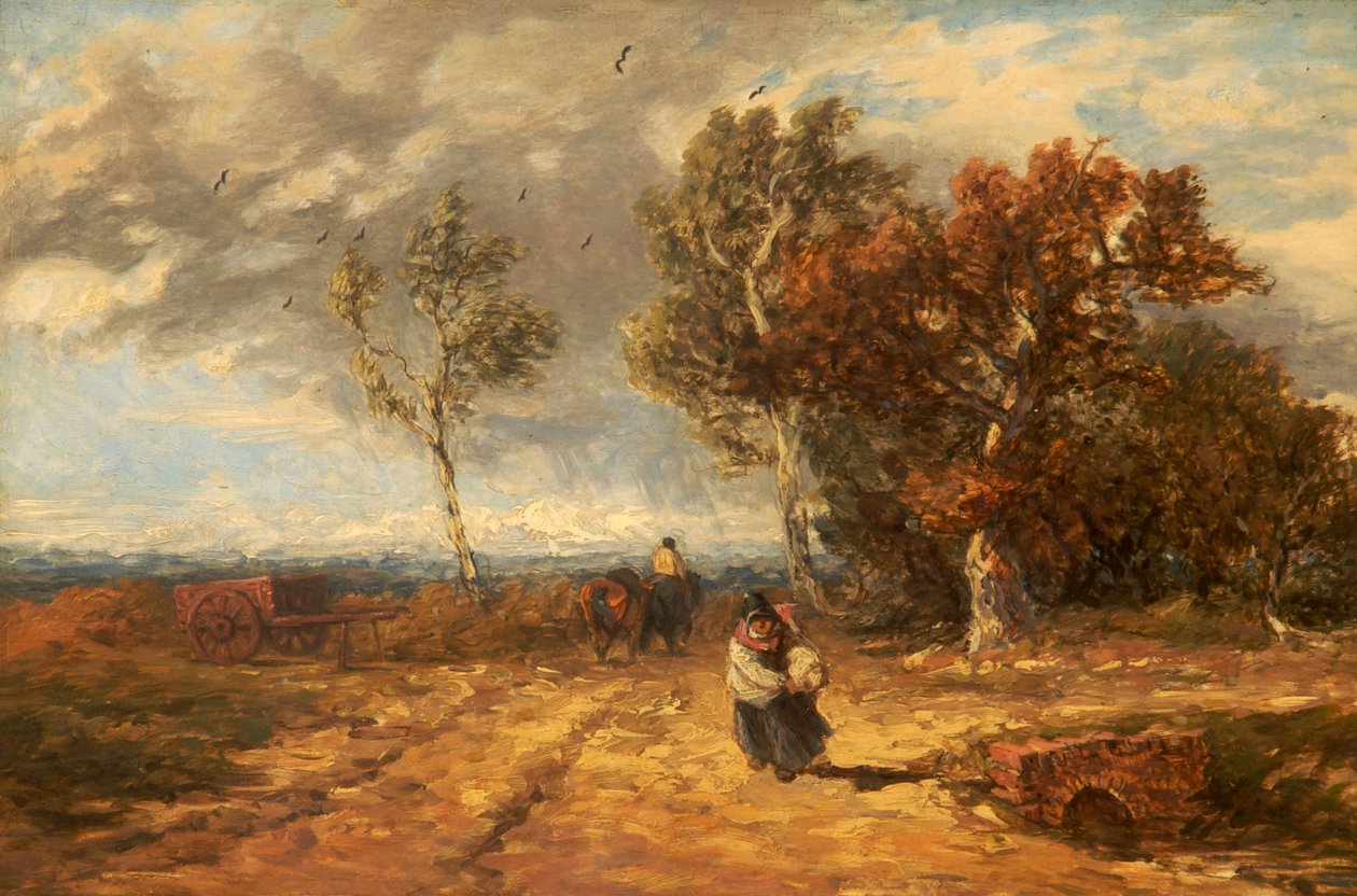 Ortak Bir Yol: Rüzgarlı Gün, c.1840-59 by David Cox