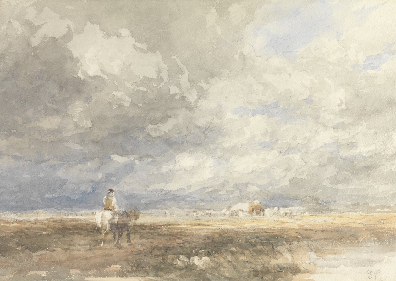 Hayfield