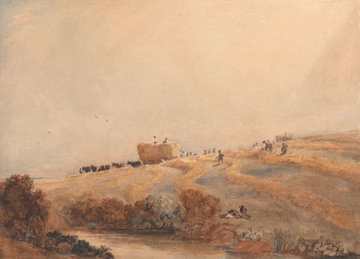 saman yapımı by David Cox