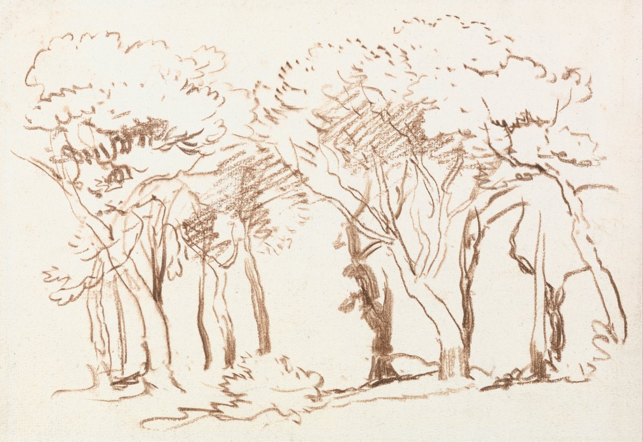 Ağaçların Çalışması by David Cox