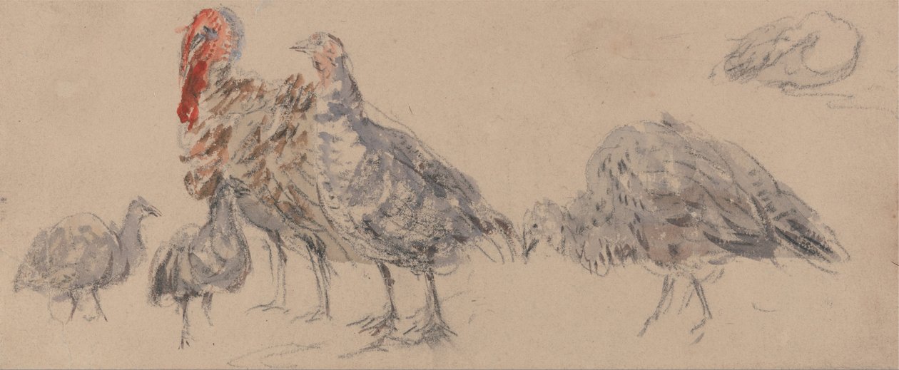 Türkiye Çalışması by David Cox