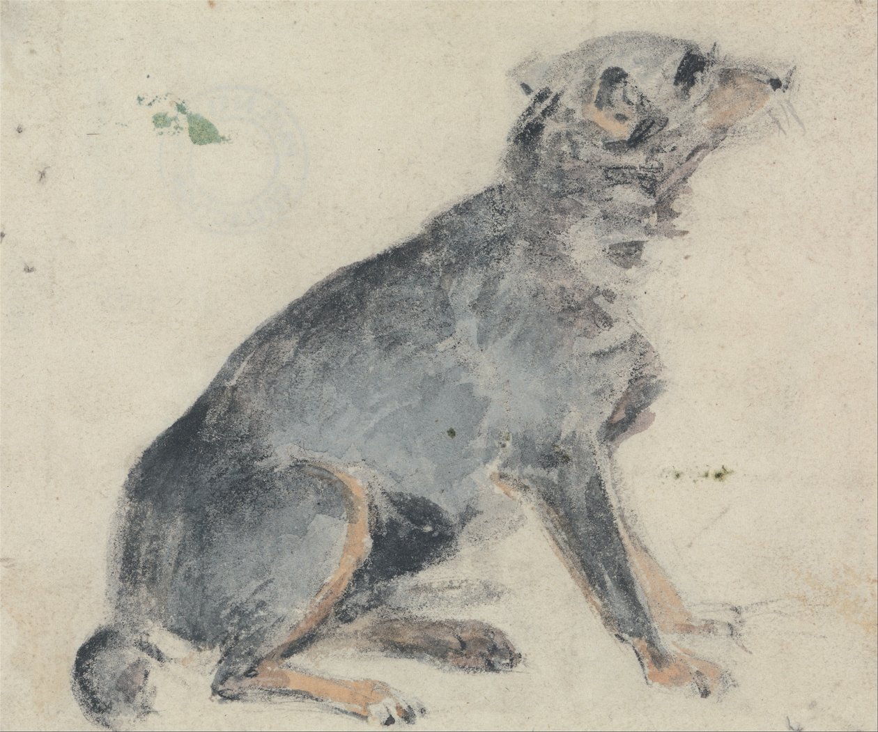 Köpek Çalışması by David Cox