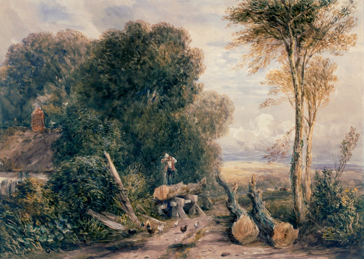 ಸಾ ಪಿಟ್ ಟರ್ಕಿ by David Cox