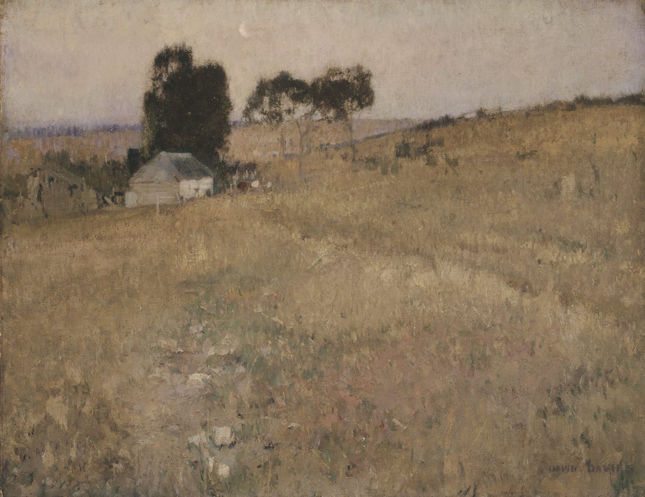 Bir yaz akşamı by David Davies