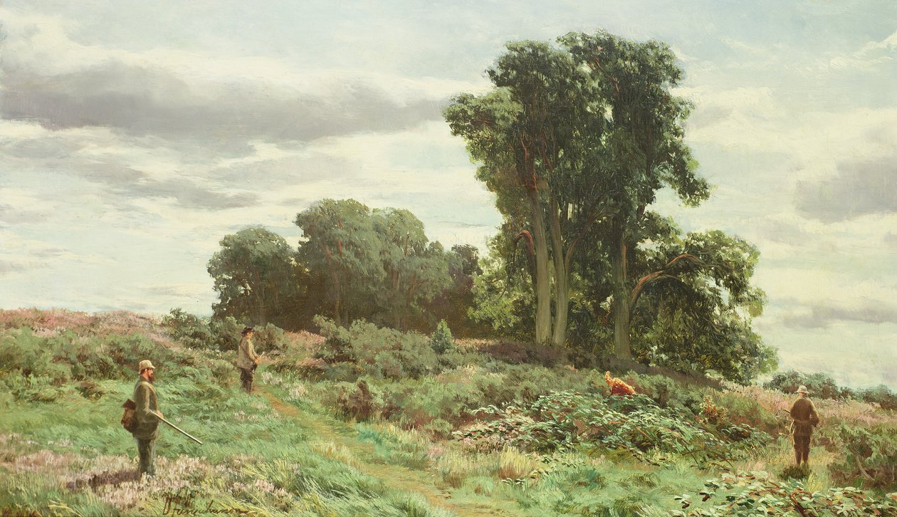 Meiklour Ormanı, Perthshire by David Farquharson
