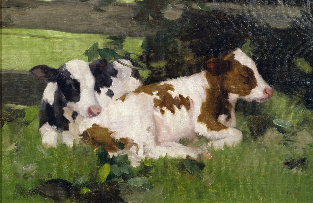 Ayrshire Buzağıları, c.1890 by David Gauld