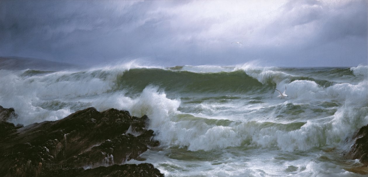 Dalgalı deniz by David James