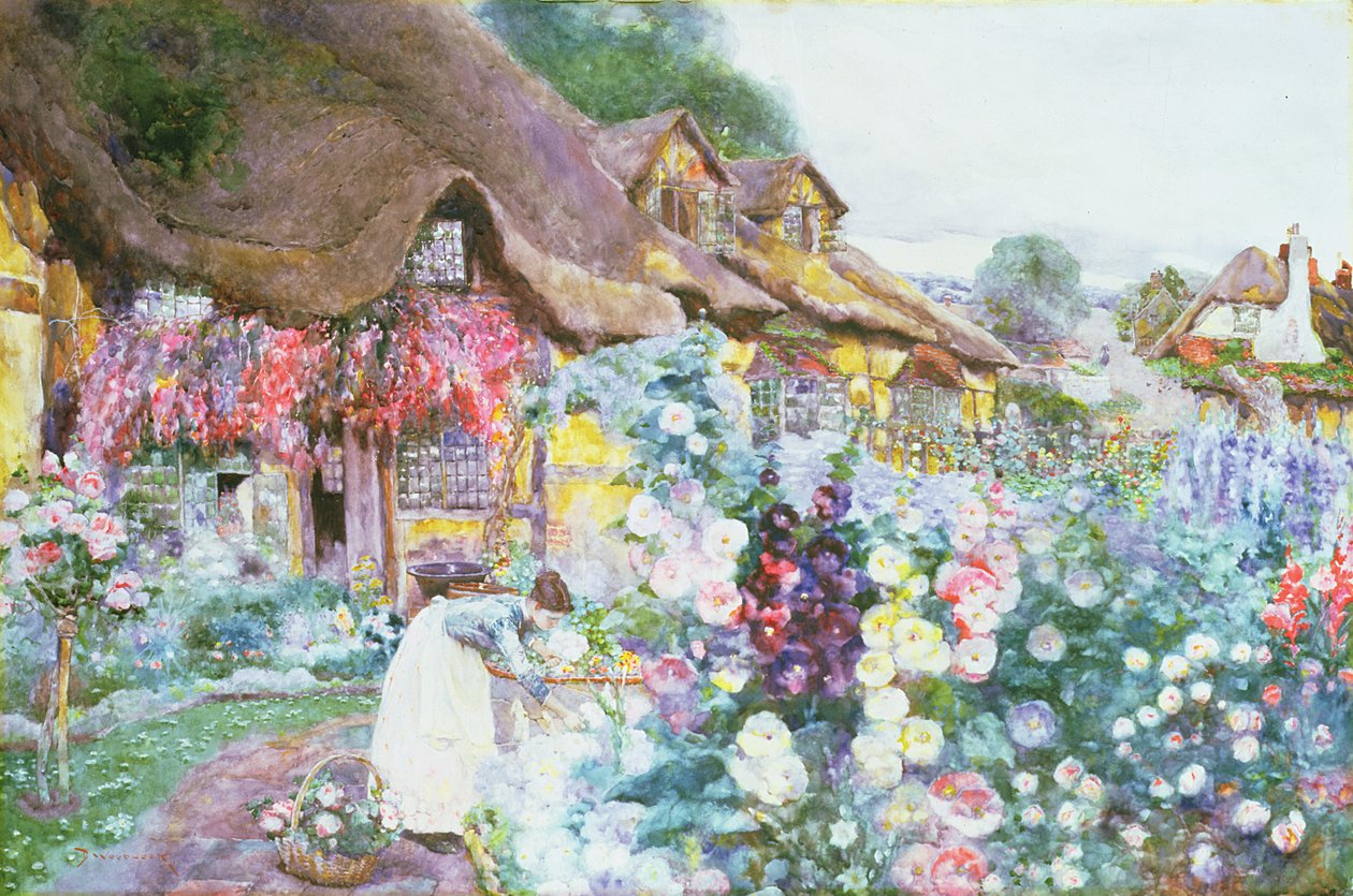 Kulübe Bahçesi by David Woodlock