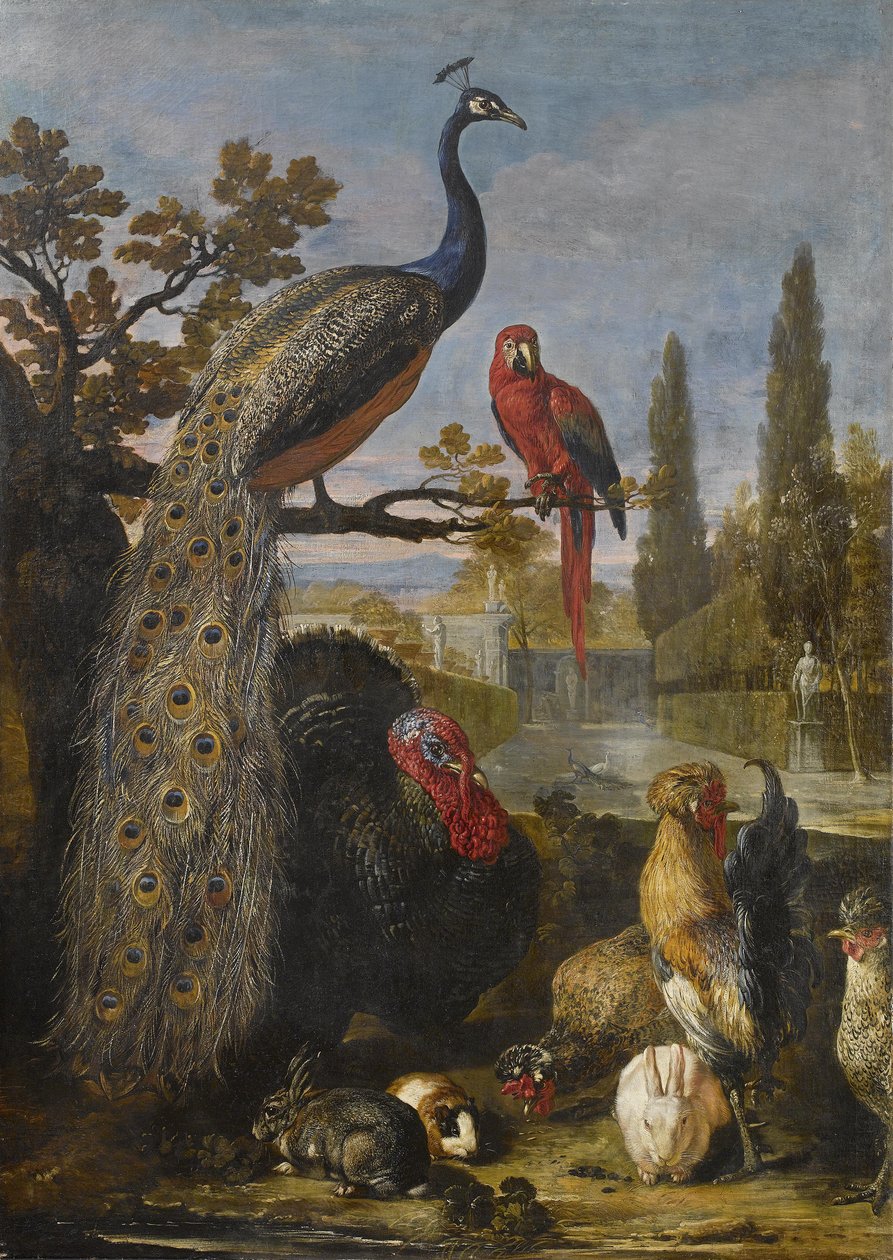 Bir park manzarasında bir tavus kuşu, bir papağan, bir hindi, horozlar, tavşanlar ve bir kobay by David de Coninck