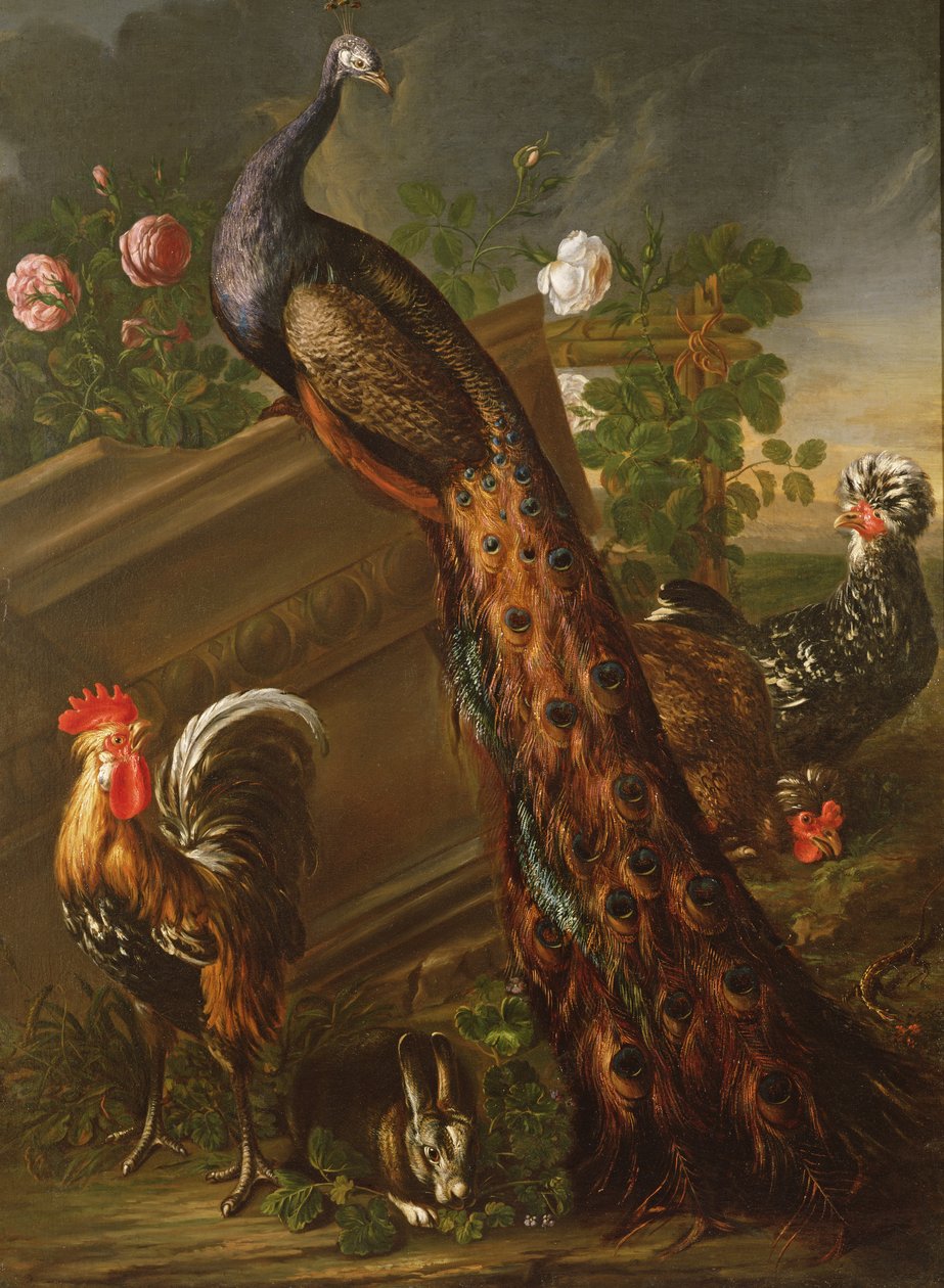 Tavus kuşu ve horozlar, 17. yüzyıl by David de Koninck