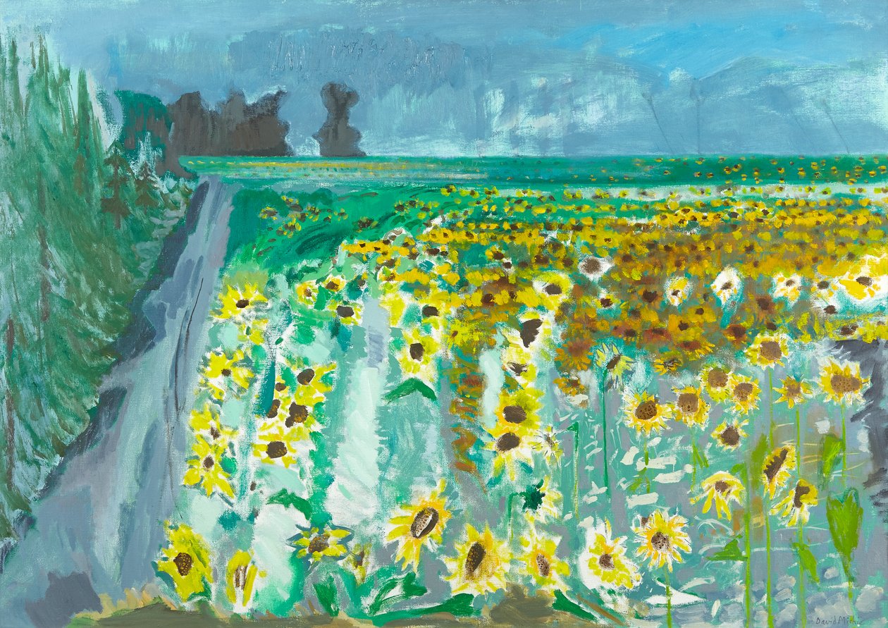 Ayçiçekleri ve Mistral, 2002 (tuval üzerine yağlıboya) by David Alan Redpath Michie