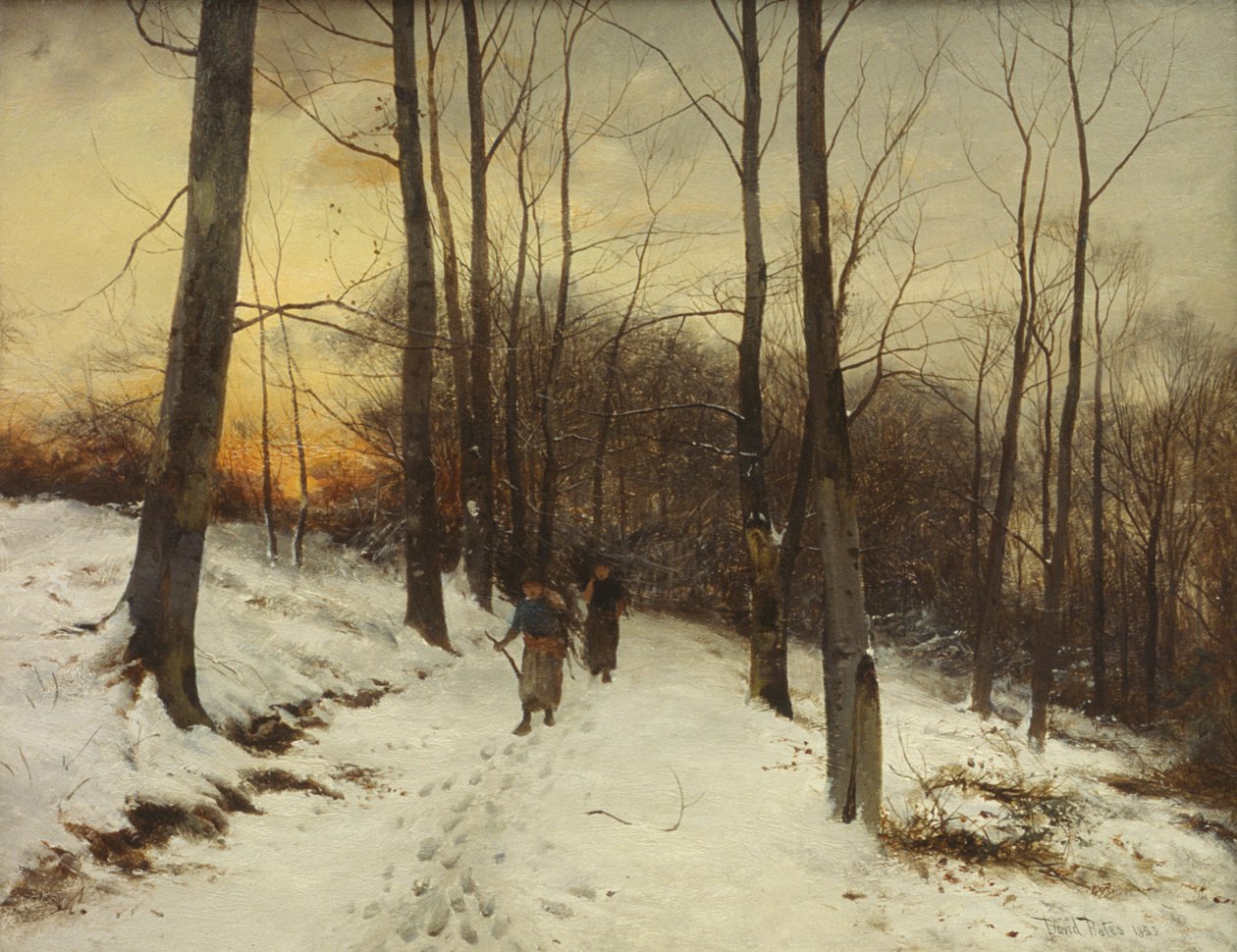 Malvern Woods (petrol) by David Bates