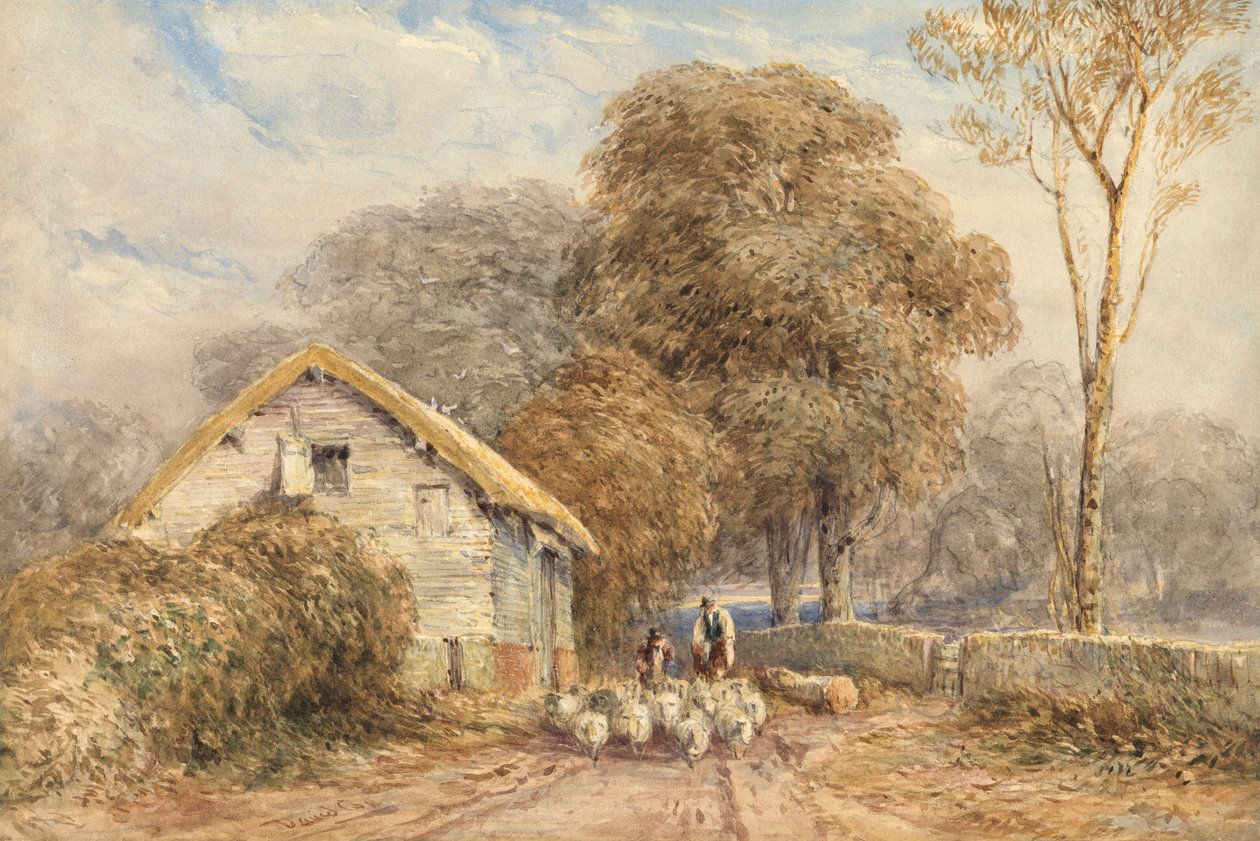  by David Cox